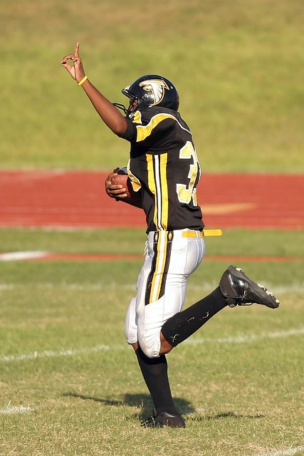 引人注目的 引人注目的